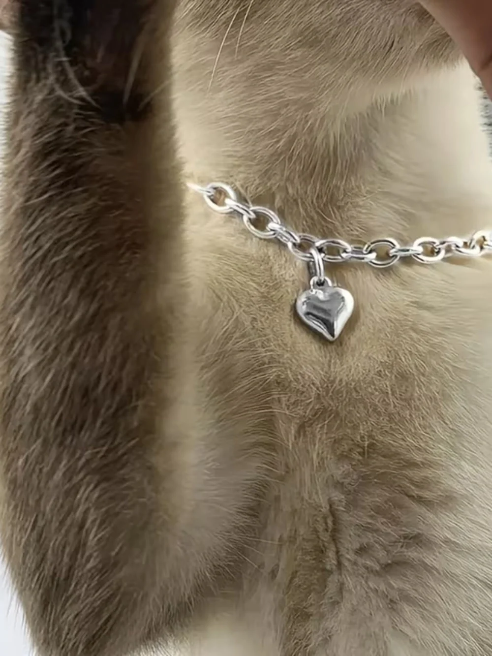 Adjustable Silver Heart Cat Necklace 💗 Size Medium Pet Collar Pendant